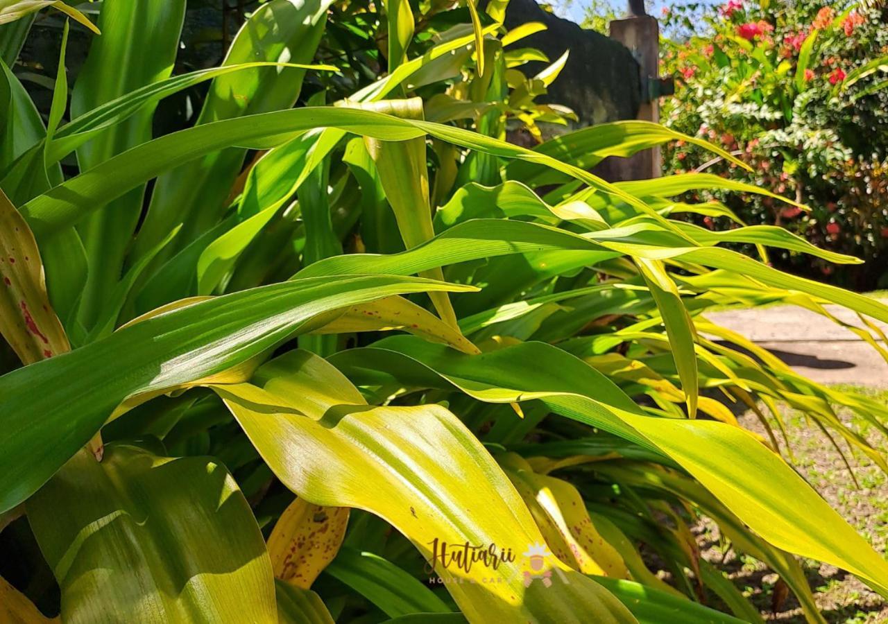 Hutiarii House & Car & Excursions Raiatea Villa Tevaitoa Exterior photo
